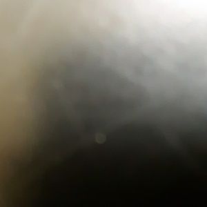 Meet your Posher, Clint